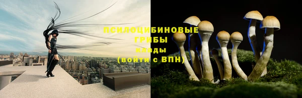 мдма Гусь-Хрустальный