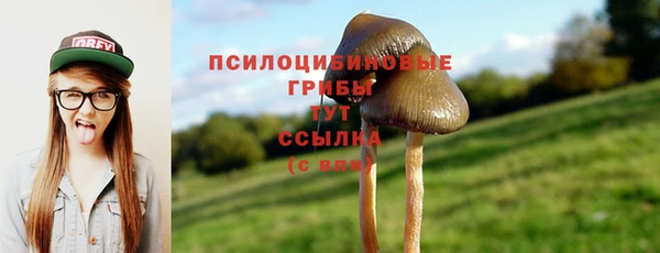 кристаллы Гусев