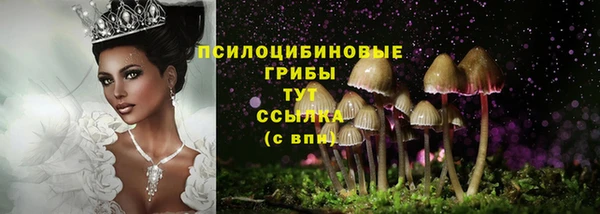 кристаллы Гусев